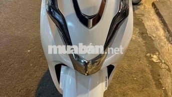 lead 4val màu trắng bản tiêu chuẩn 2024/3