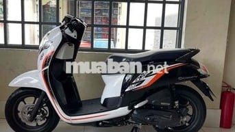 scoopy 2020 . hàng bỏ mẫu. zin cọp. hàng hiếm