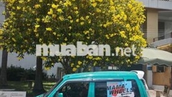 Suzuki Wagon R+ 2005 - 100000 km
