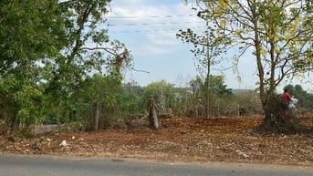 BÁN ĐẤT NÔNG NGHIỆP MẶT TIỀN ĐƯỜNG QUÃNG PHÚ, X.ĐÁ BẠC, CHÂU ĐỨC, BRVT