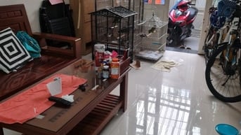 Nhà mới hẻm xe hơi khu dân trí cao yên tĩnh sát q1