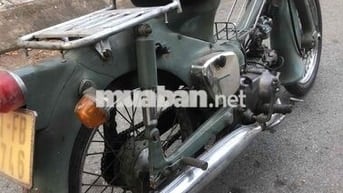xe cub 50