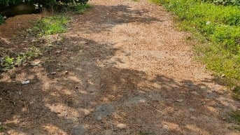 Chính chủ cần bán tam Giang đất trống 