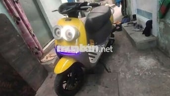 Xe minion 60cc