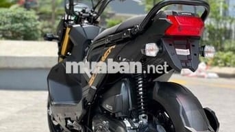 Honda Zoomer X 110