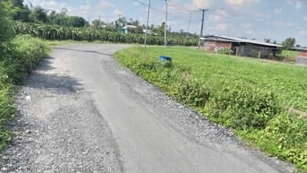 Đất thổ cư,mặt tiền đường nhựa.