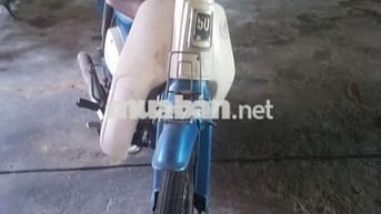 Xe honda cub 81/50 cần bán.