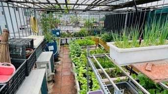 Cần Tiền Bán Gấp! Nhà Khương Đình - Thanh Xuân, DT35m2, 6Tầng, Nhà
