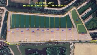 đất phân lô xã Lý Nhơn ,cần giờ giá 1,6tr/m2 giá rẽ........ 