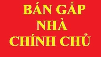 Dãy trọ mặt tiền Mỹ Hòa 4 thu nhập đều, pháp lý sạch 620m2 chỉ 63tr/m2