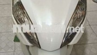 Vision Xe Zin đẹp ký giấy tờ