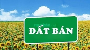 Lô đất mặt tiền Nguyễn Văn Bứa, xã Xuân Thới Sơn Hóc Môn, 3000m2, 35tr