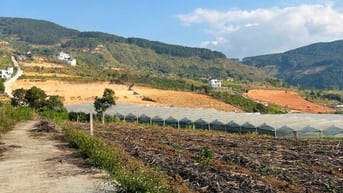 Bán 150m2 đất Đông Thanh chỉ 430 triệu, cách đường nhựa 500m