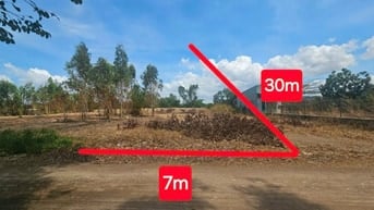 Công ty Đấu giá hợp danh Lam Sơn Sài Gòn THÔNG BÁO ĐẤU GIÁ TÀI SẢN
