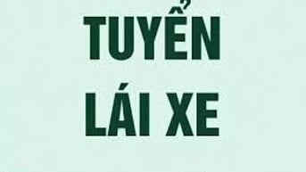 Tuyển dụng tài xế lái xe 1.6 tấn Isuzu, 28-38 tuổi, lương cao