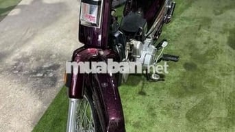 Dream Đài Tâm Huyết / Cực Đẹp Bs65