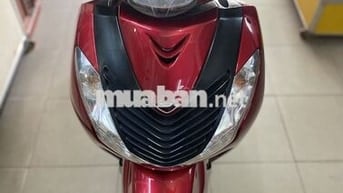 SH 150. Nhập ý