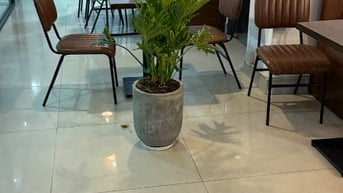 Sang nhượng quán coffee có phòng họp khu sinh viên nhiều nhất sài gòn