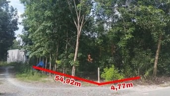 Công ty Đấu giá hợp danh Lam Sơn Sài Gòn THÔNG BÁO ĐẤU GIÁ TÀI SẢN
