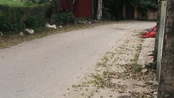 Cần cho thuê kho xưởng sản xuất