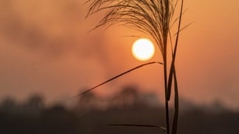 Cần 03 Nữ kiểm hàng phụ kho bán 