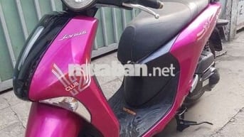 Zanus 2019 bs đẹp