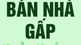 Nhà bán sổ hồng chính chủ, DT 49m2, 1 lầu, 22/47 đường số 4, BHH