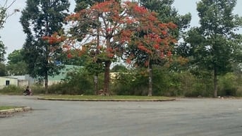 Bán đất đường số 1 khu Dân Cư Hoàng Long