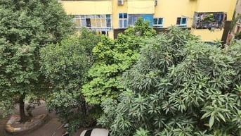 Bán nhà phân lô ô tô tránh, vỉa hè tại Lê Trọng Tấn 28 tỷ.