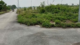 110m dịch vụ đồng trà phú nghĩa sẵn sổ giá tốt giáp đường lê văn luong
