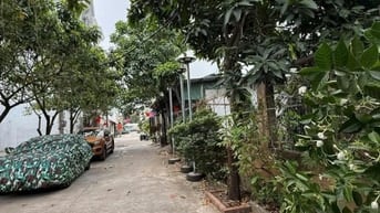 Đất xây biệt thự mini và sân vườn siêu đẹp ngay chợ Minh Phát Quận 12