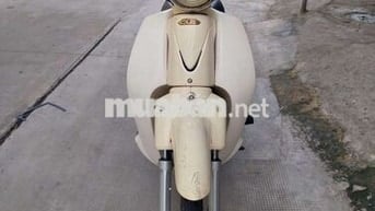 Super cup 50cc