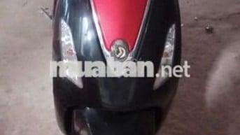 Cần bán
