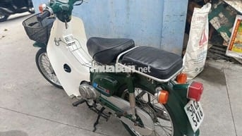 81,50cc