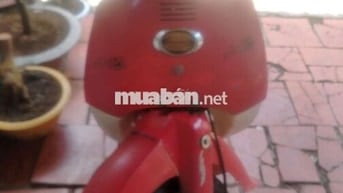 Max đỏ Nhật siêu tiết kiệm