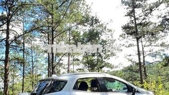 Ford EcoSport 2019 Titanium 1.5L AT - 66700 km