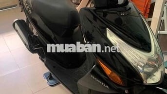 HON DA CLICK SỐ TP RẤT ĐẸP!