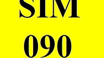 Sim số đầu 090, giá 200K, mobifone