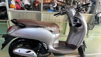 Xe scoopy 2024 màu xám