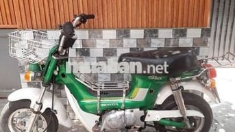 Chaly 50 xe nhật có đề