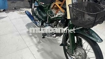 Cúp 81/50 HQCN Cọp Zin Bstp 9 chủ
