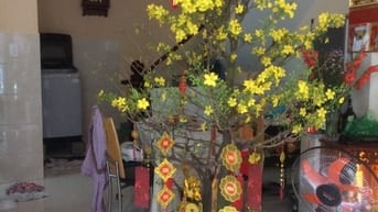 Nhà ở khu DC yên tĩnh, an ninh , đường NHC, Bình Thạnh
