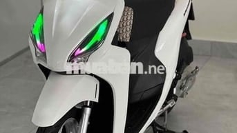 vision kiểng đẹp