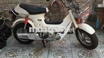 chaly81/70