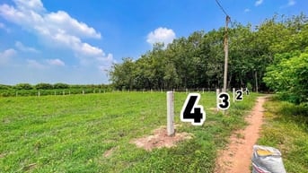 5x40 full thổ cư. Sổ hồng riêng. Đường xe hơi. 2xxtr