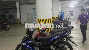 Làm việc tại nhà không có nhu cầu đi xe máy