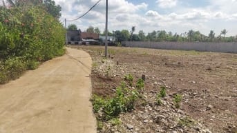 Đất nền thổ cư Cẩm Mỹ sổ riêng chỉ 150trieu sở hữu ngay