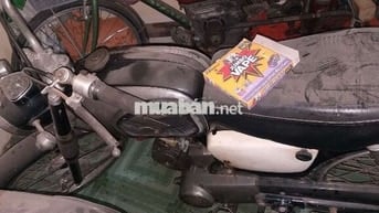 Suzuki M12