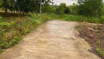 CHÍNH CHỦ CẦN BÁN GẤP 8 SÀO ĐẤT CLN HUYỆN XUÂN LỘC -TỈNH ĐỒNG NAI 
