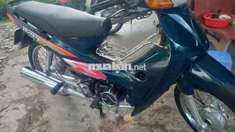 Wayị số Đồng tháp